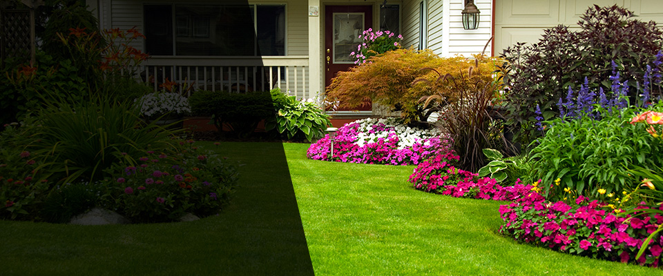 Warminster Landscapers