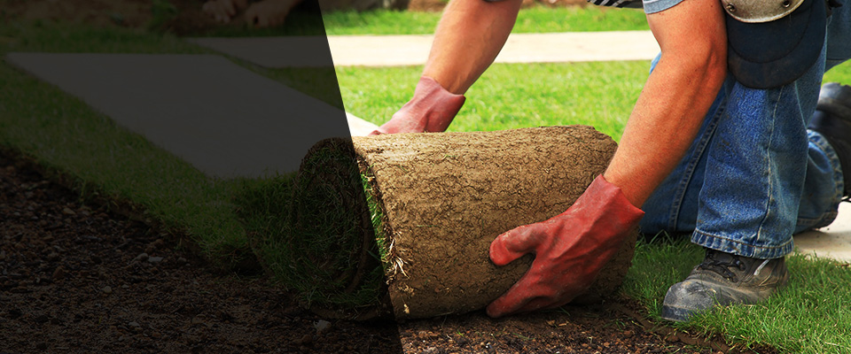 Warminster Landscapers